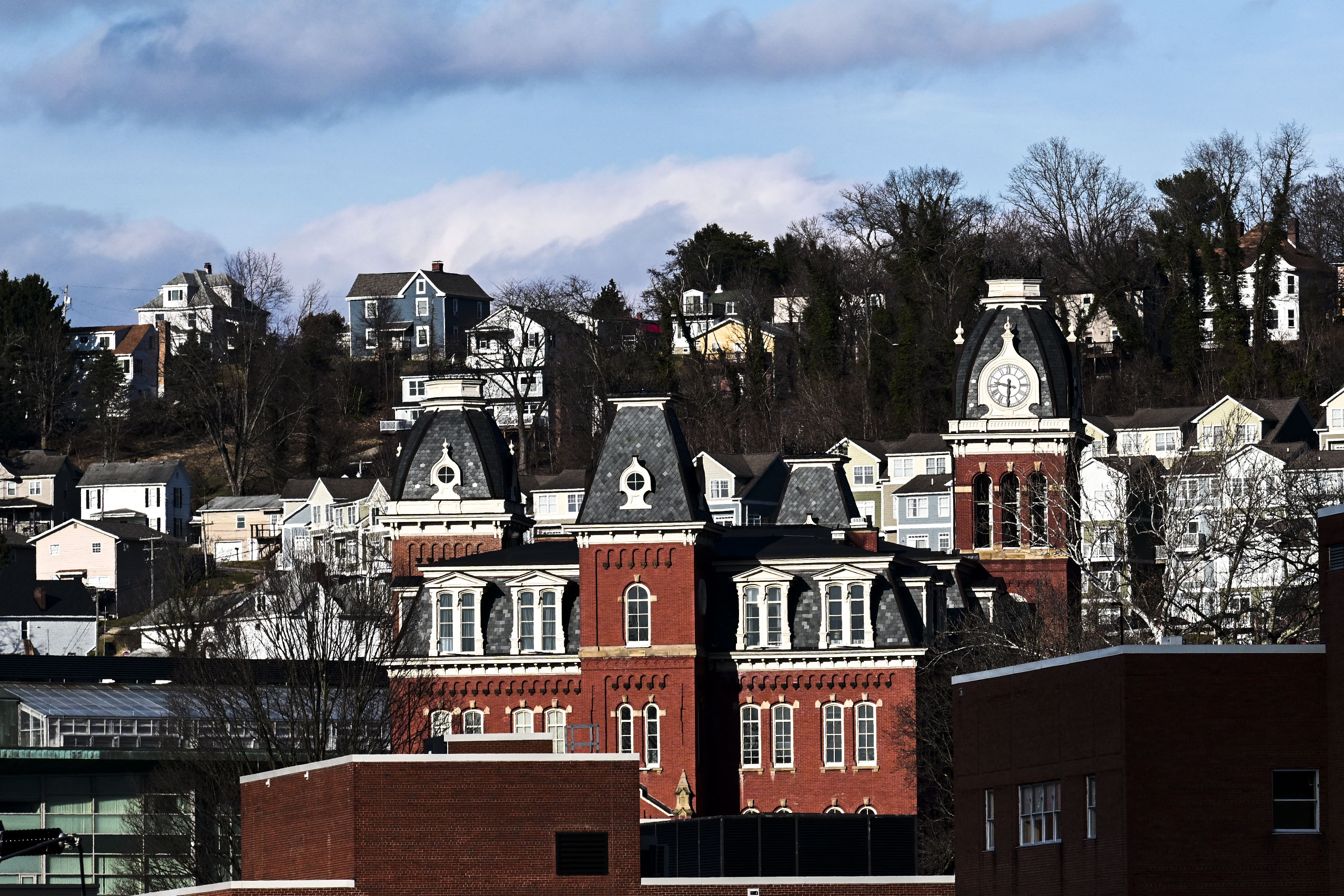 WVU welcomes students to explore veterinary medicine at annual career day